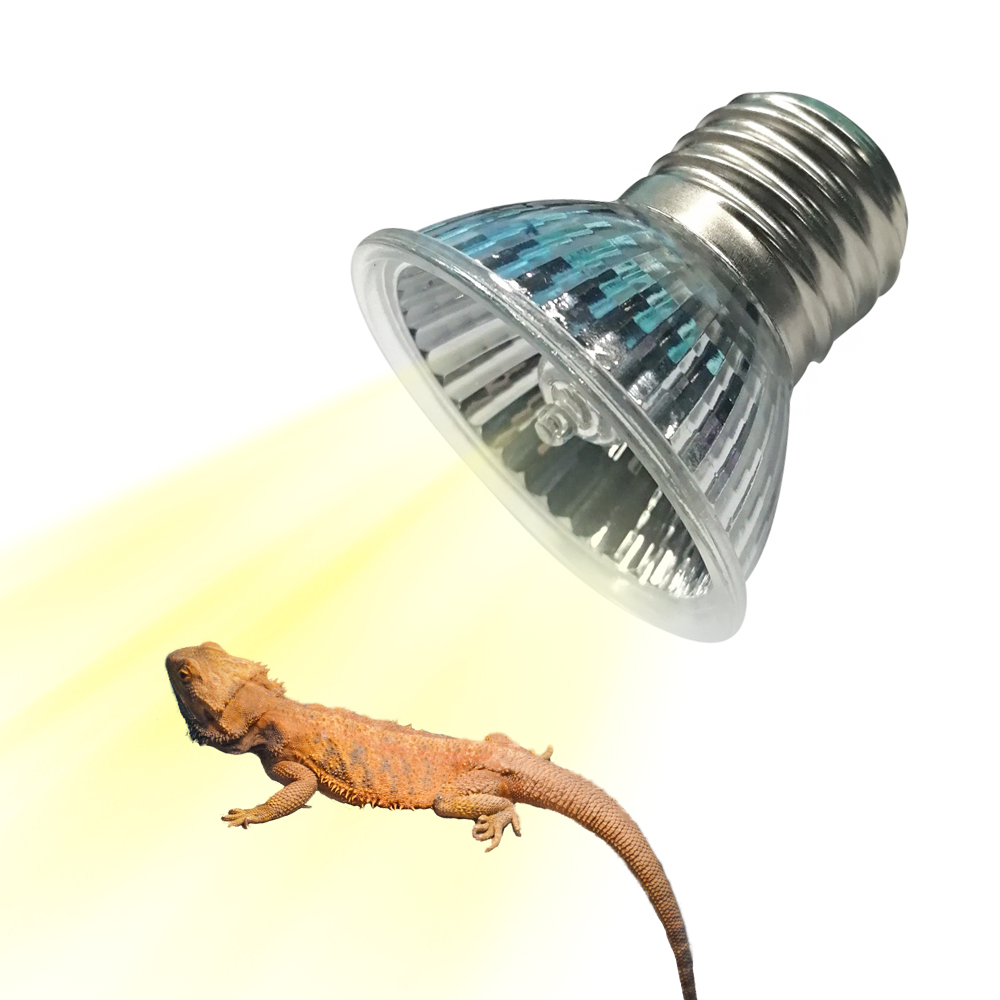 Calcium Powder Reptile - Suốt UVAUVB Đèn Sưởi Bò Sát