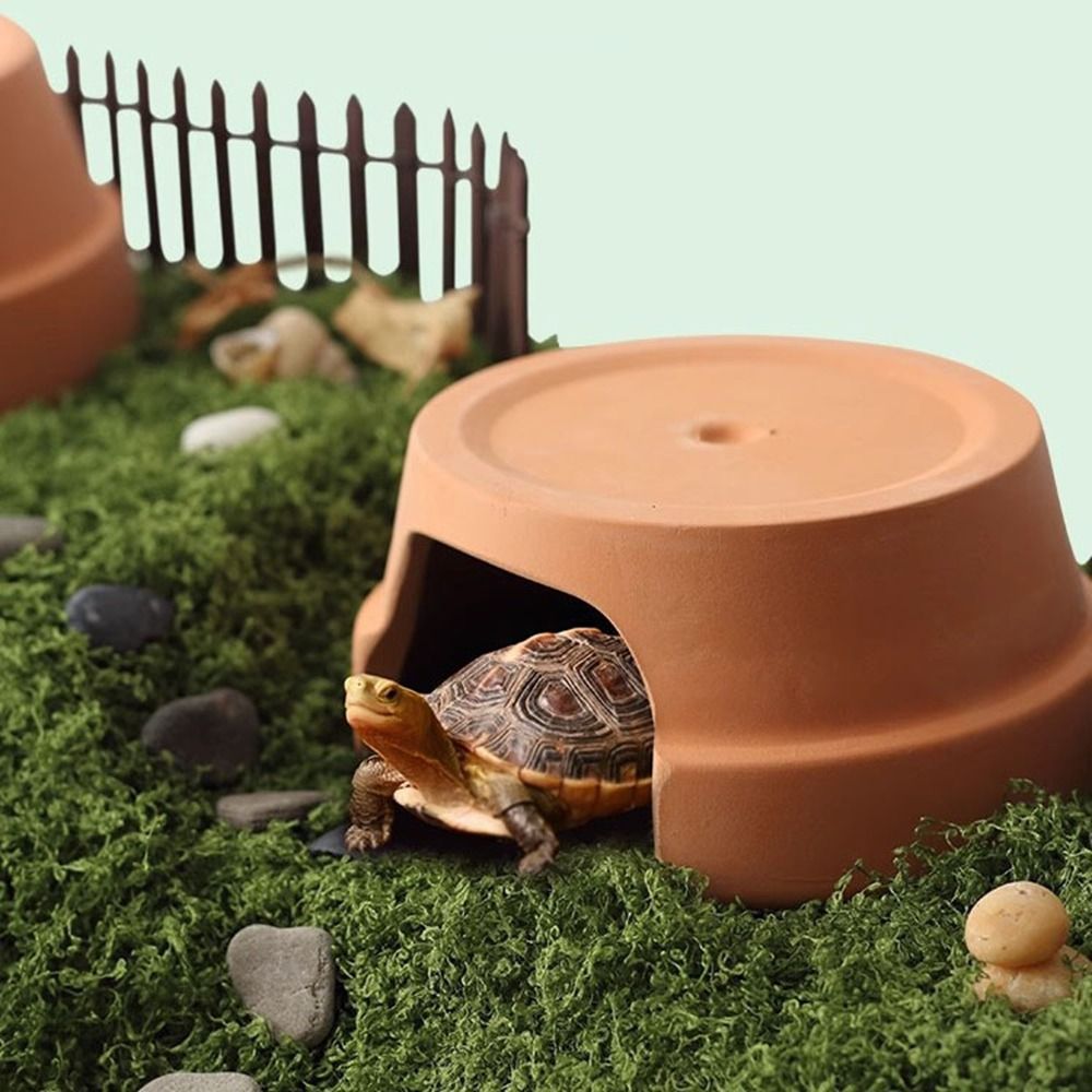 Multifunctional Ceramics Repti - đánh giá và giá Hide Cave Ceramic