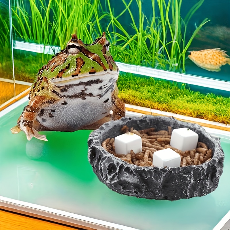 6Pcs For Reptile Grinding Tort - đánh giá và giá Calcium Powder Reptile