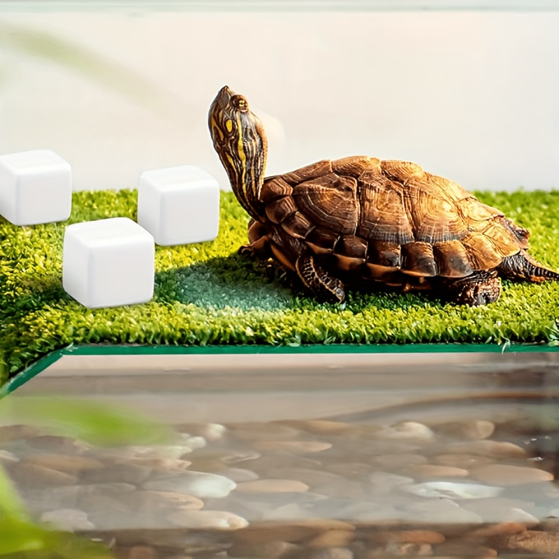 6Pcs For Reptile Grinding Tort - đánh giá và giá Calcium Powder Reptile