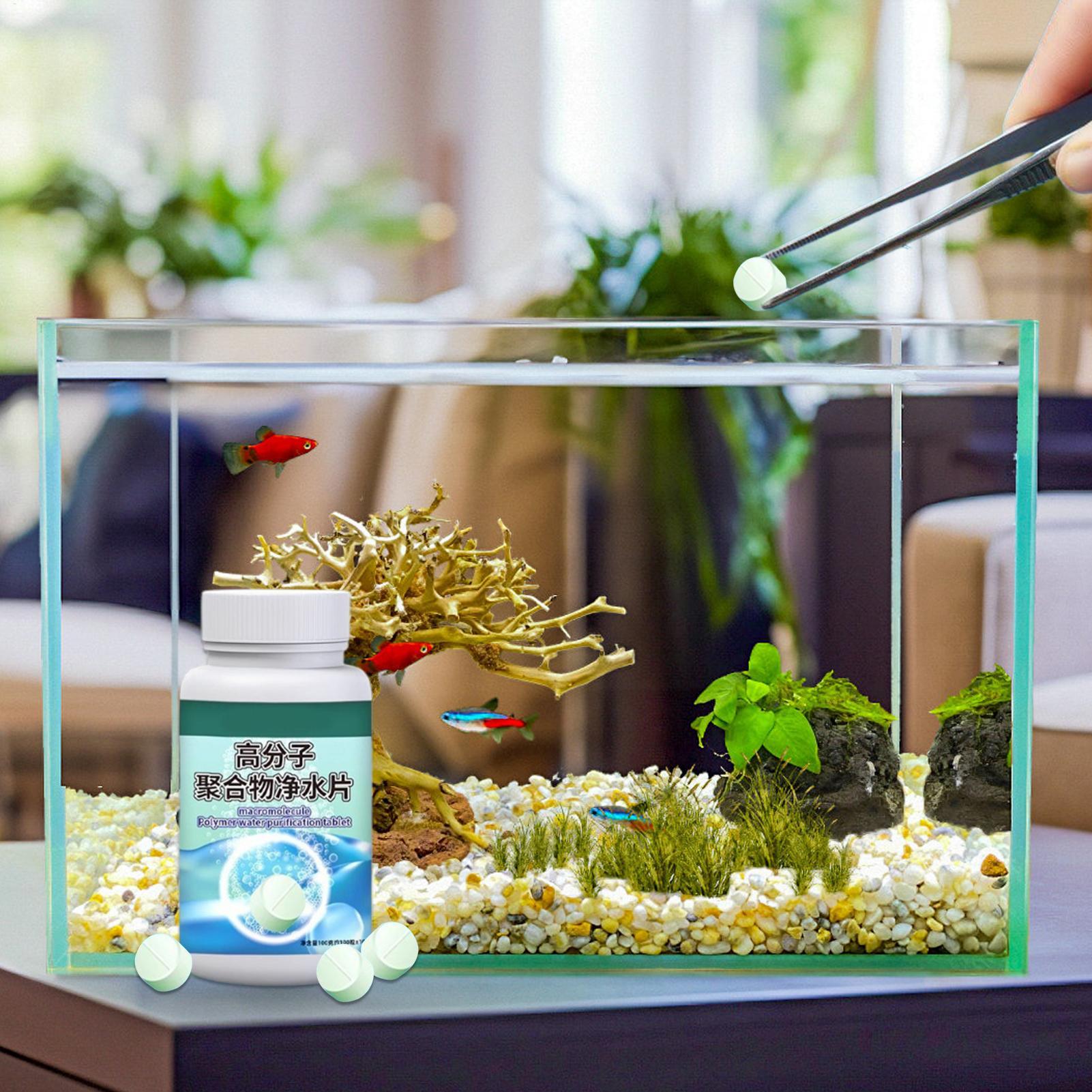 Fish Can Algae Remover Aquariu - đánh giá và giá Water Dish Reptile