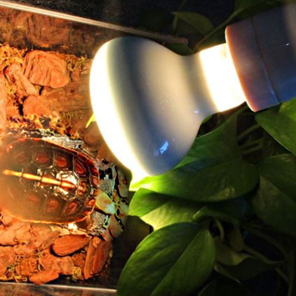 Lizard Heater Temperature Cont - đánh giá và giá Basking Bulb Halogen