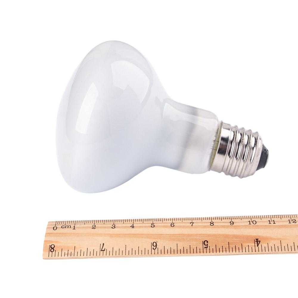 Lizard Heater Temperature Cont - đánh giá và giá Basking Bulb Halogen