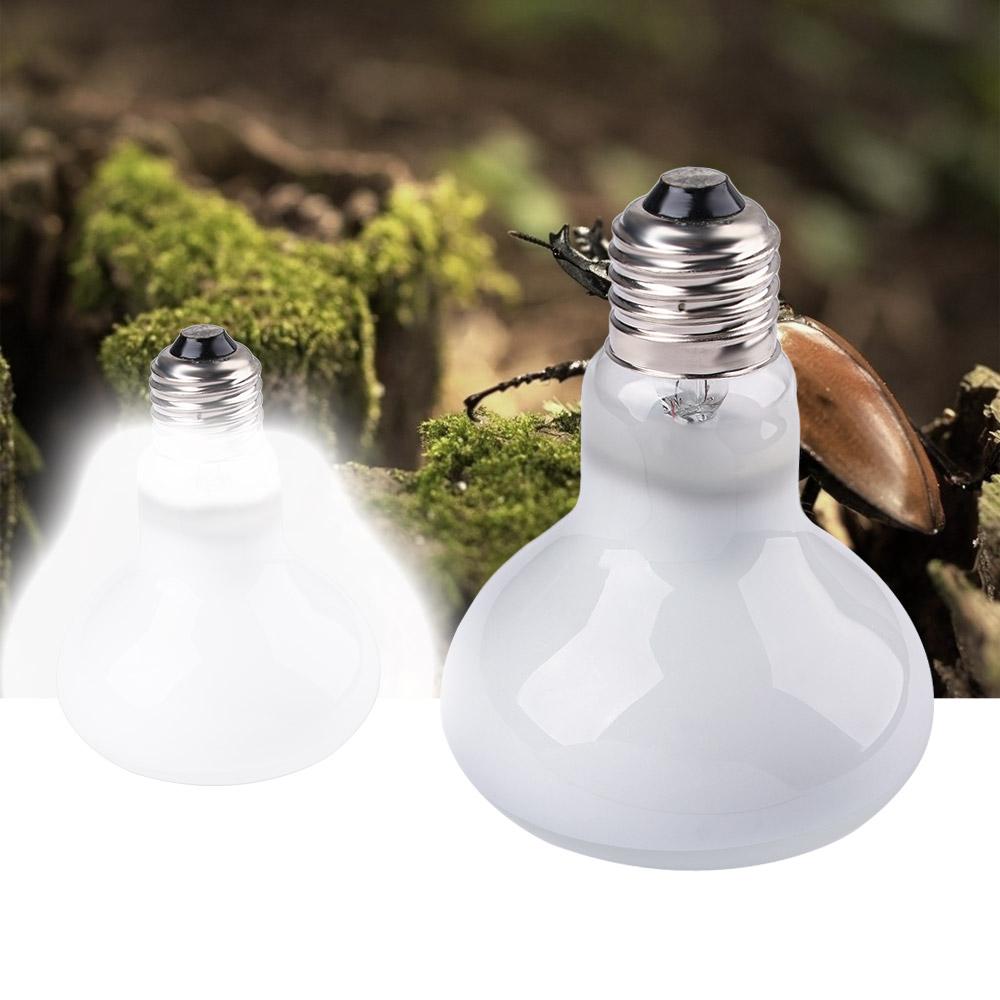 Lizard Temperature Controller  - đánh giá và giá Basking Bulb Halogen