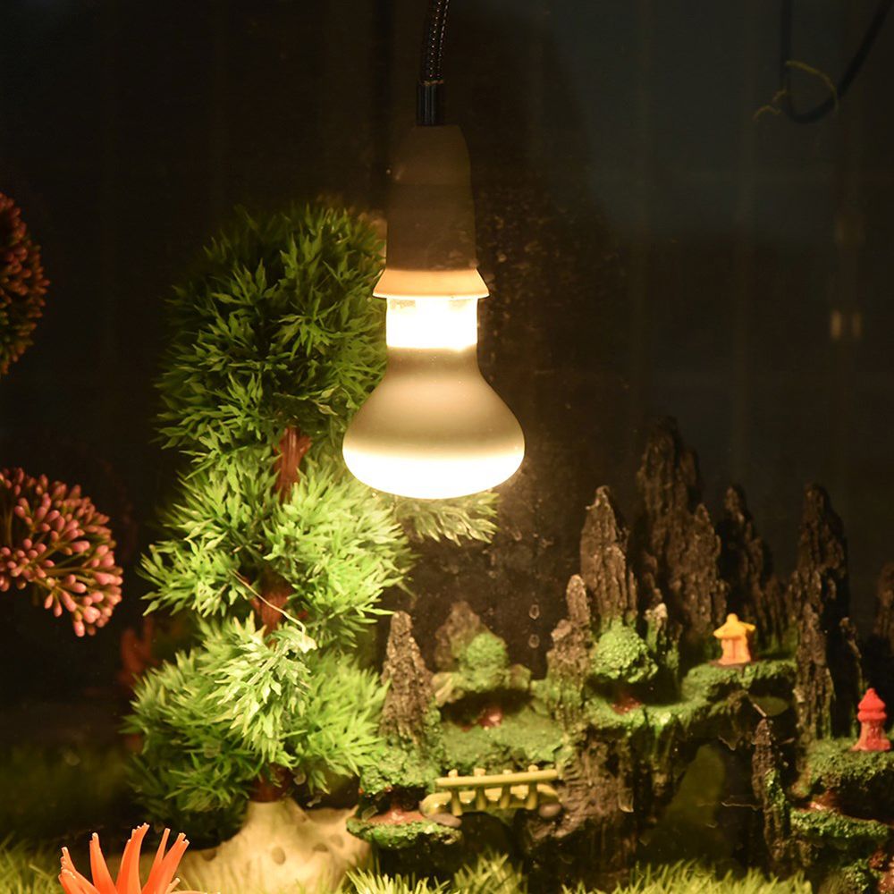 Amphibians Heater Heat Lamp UV - đánh giá và giá Basking Bulb Halogen