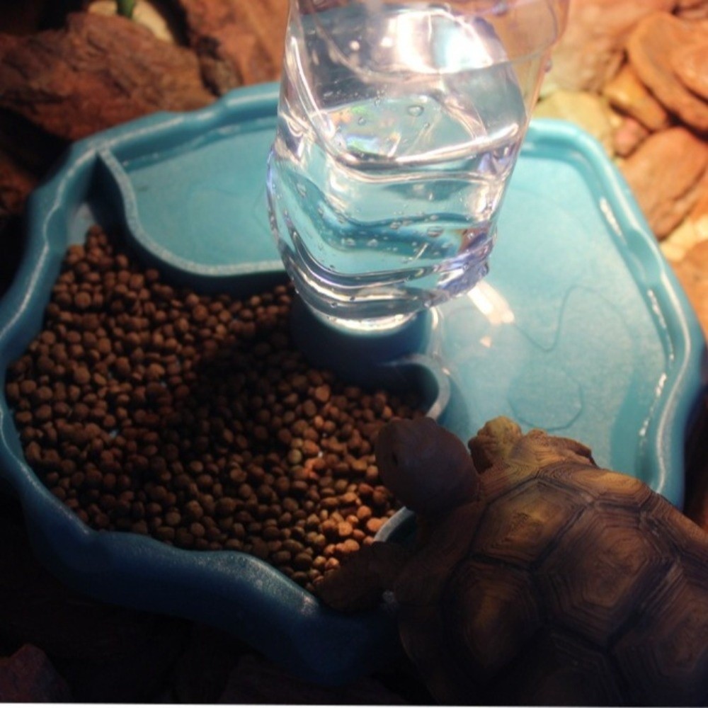 New Removable Reptile Feeder E - đánh giá và giá Water Dish Reptile