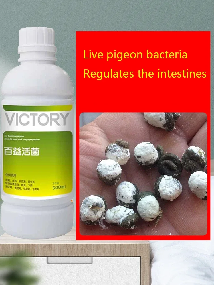500ml Meat Pigeon Racing Pigeo - đánh giá và giá Vitamin D3 Reptile