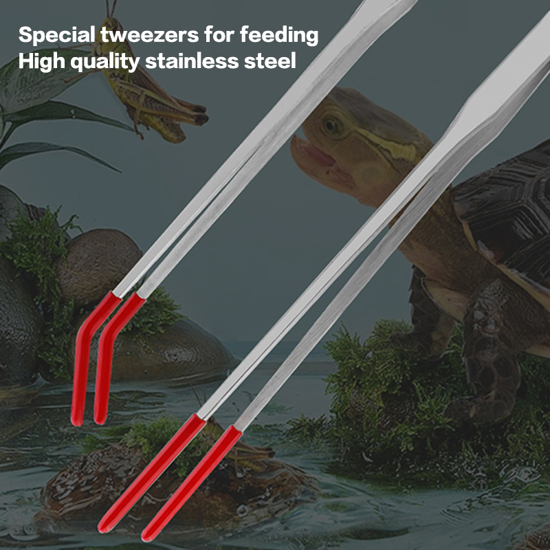 Stainless Steel Reptile Feedin - đánh giá và giá Feeding Tong Stainless