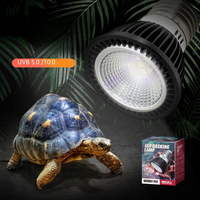 NOMOY Reptile 110/220V UVB+UVA - đánh giá và giá Calcium Powder Reptile