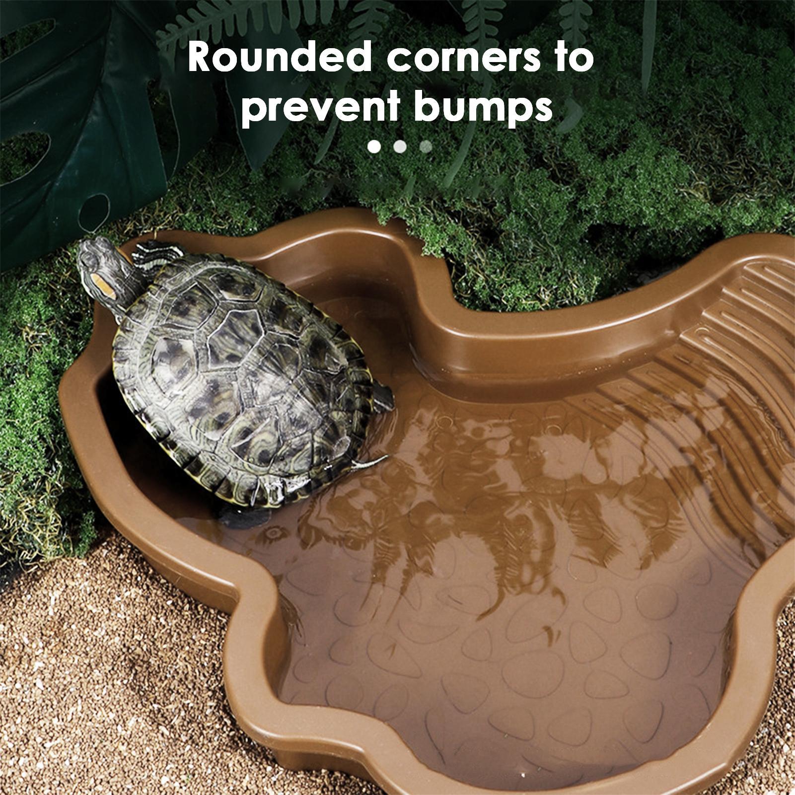 Reptile Bathing Pool with Ramp - đánh giá và giá Water Dish Reptile