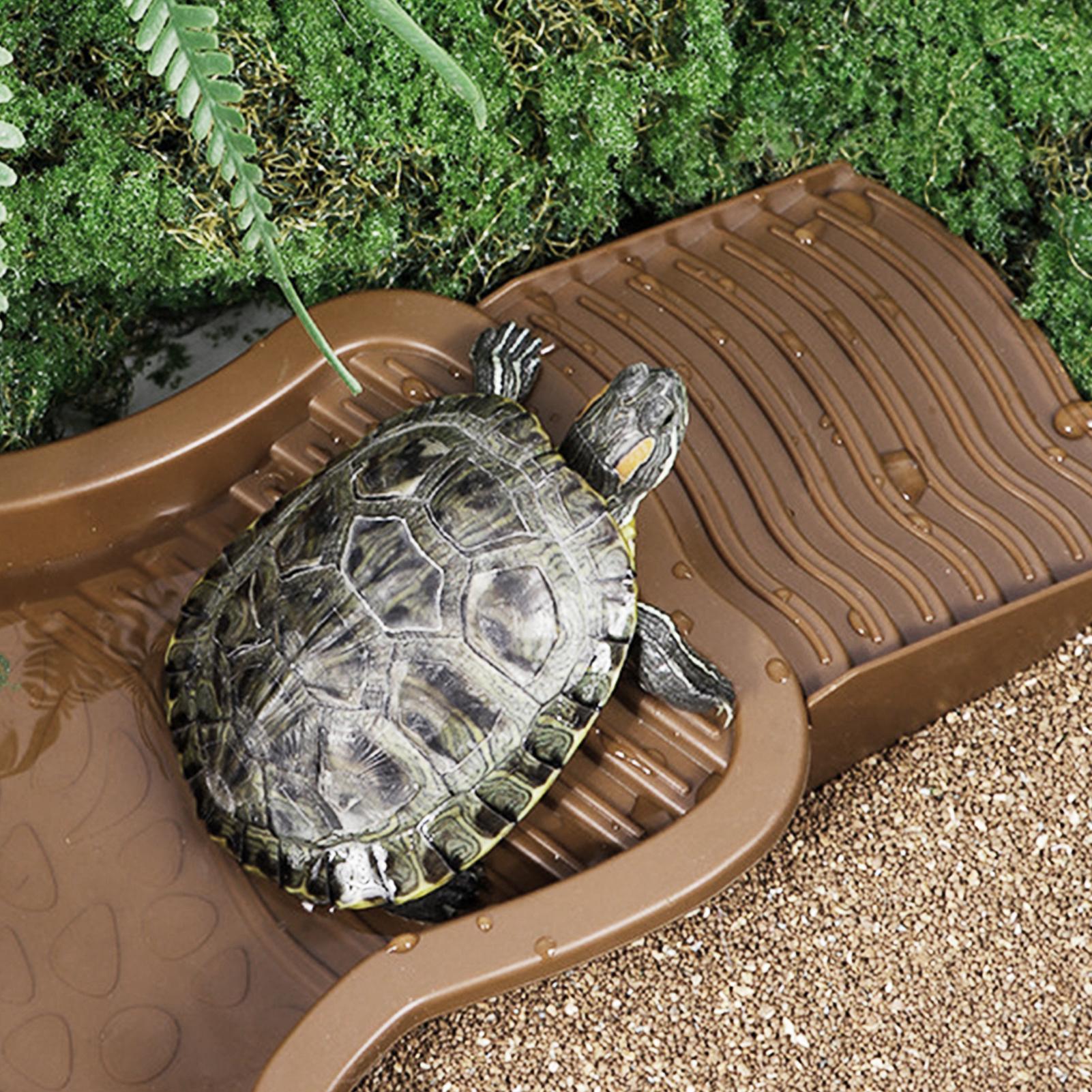 Reptile Bathing Pool with Ramp - đánh giá và giá Water Dish Reptile