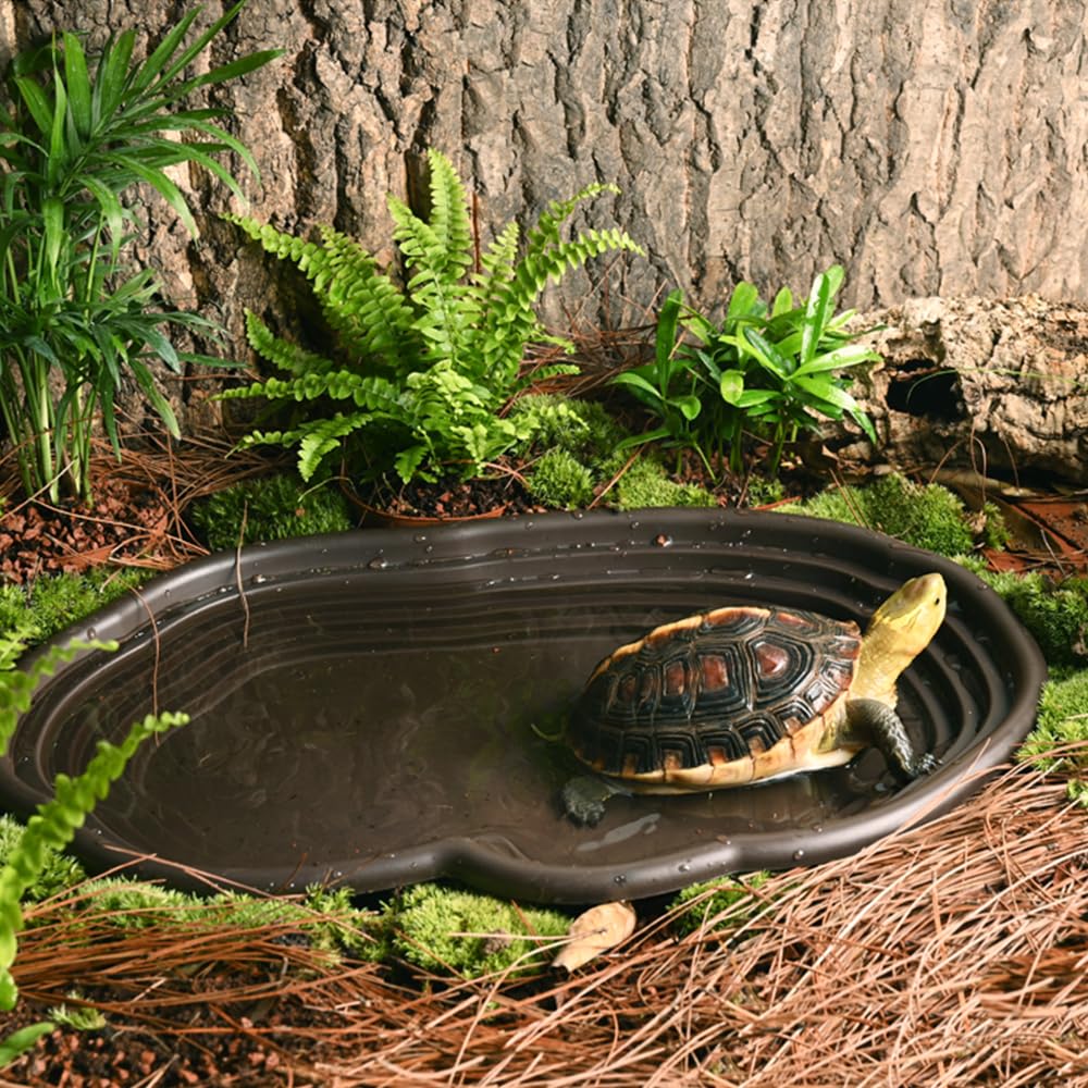Reptile Bathing Dish Amphibian - đánh giá và giá Water Dish Reptile