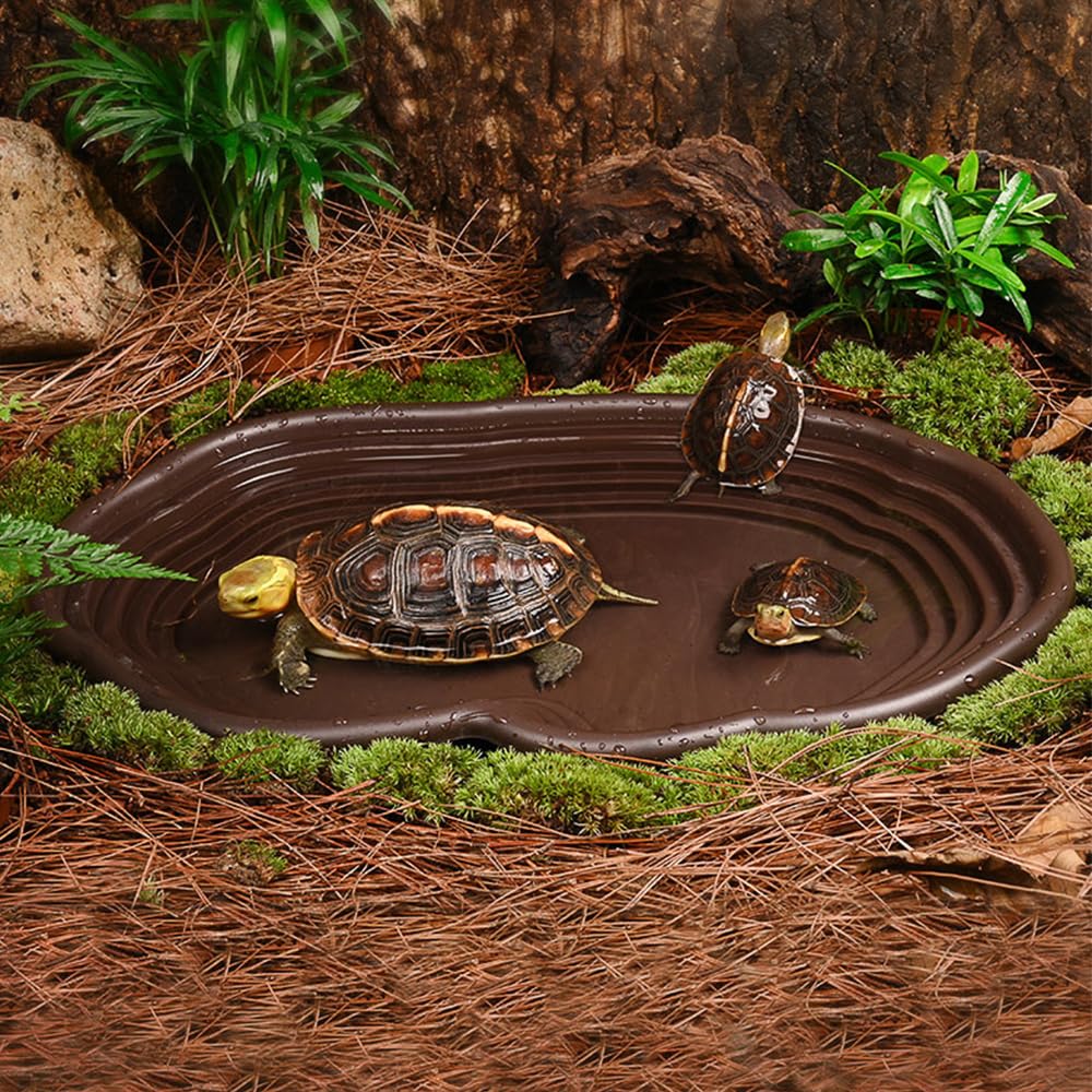 Reptile Bathing Dish Amphibian - đánh giá và giá Water Dish Reptile