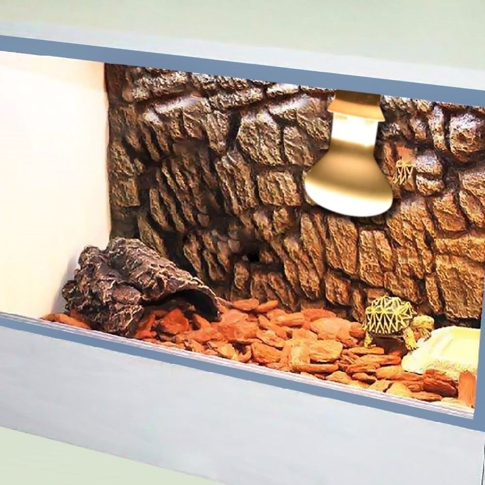 Turtle Heater Heat Lamp Reptil - đánh giá và giá Basking Bulb Halogen
