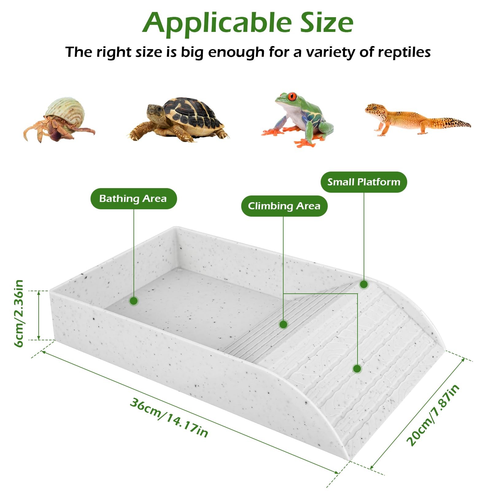 Anti Slip Tortoise Bath Dish T - đánh giá và giá Water Dish Reptile