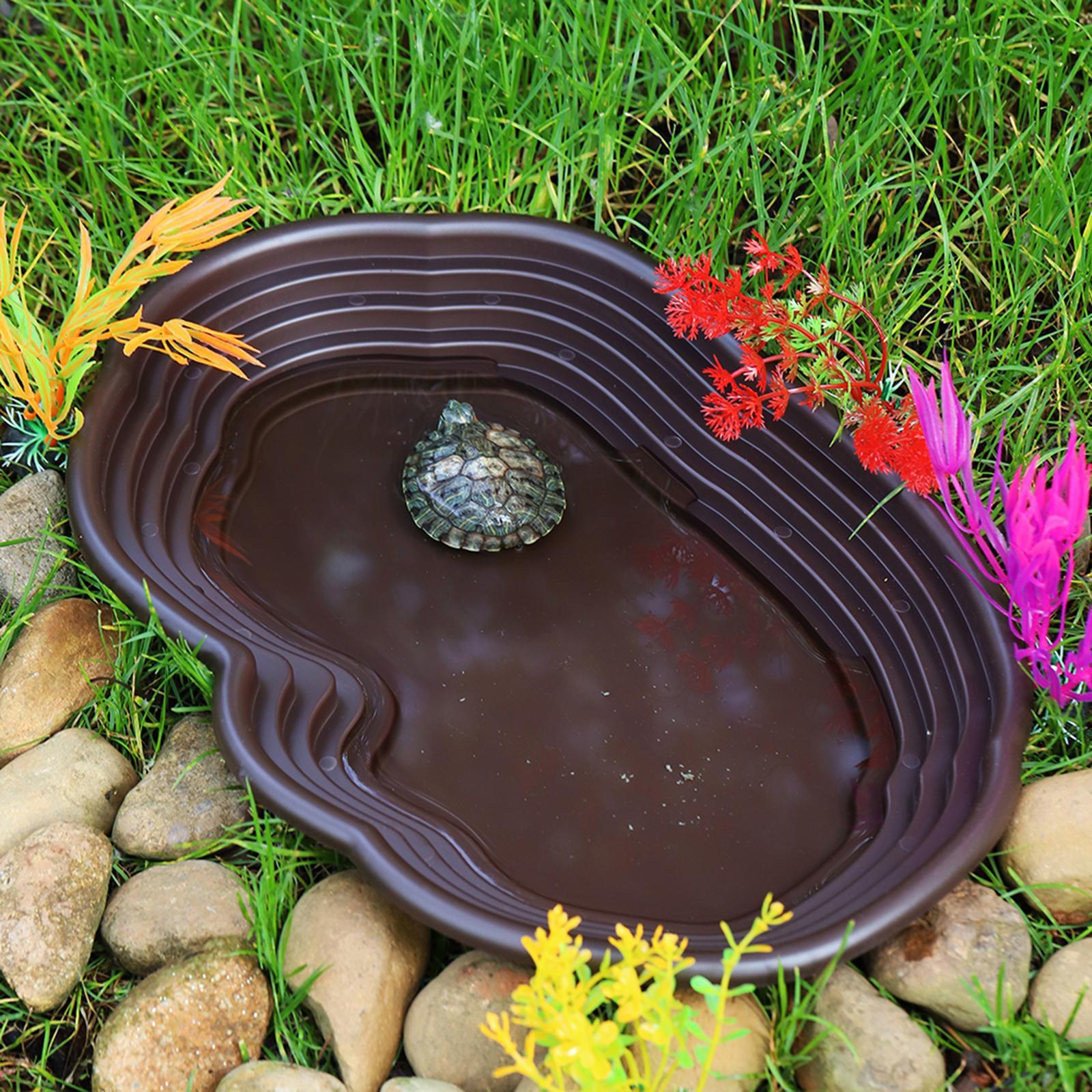 Reptile Bathing Dish Tortoise  - đánh giá và giá Water Dish Reptile