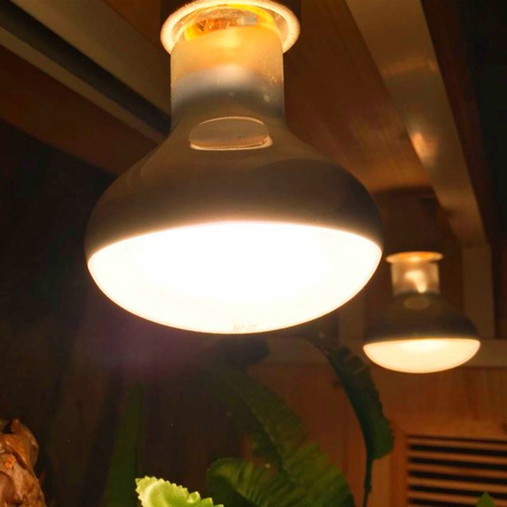 Turtle Heater Temperature Cont - đánh giá và giá Basking Bulb Halogen