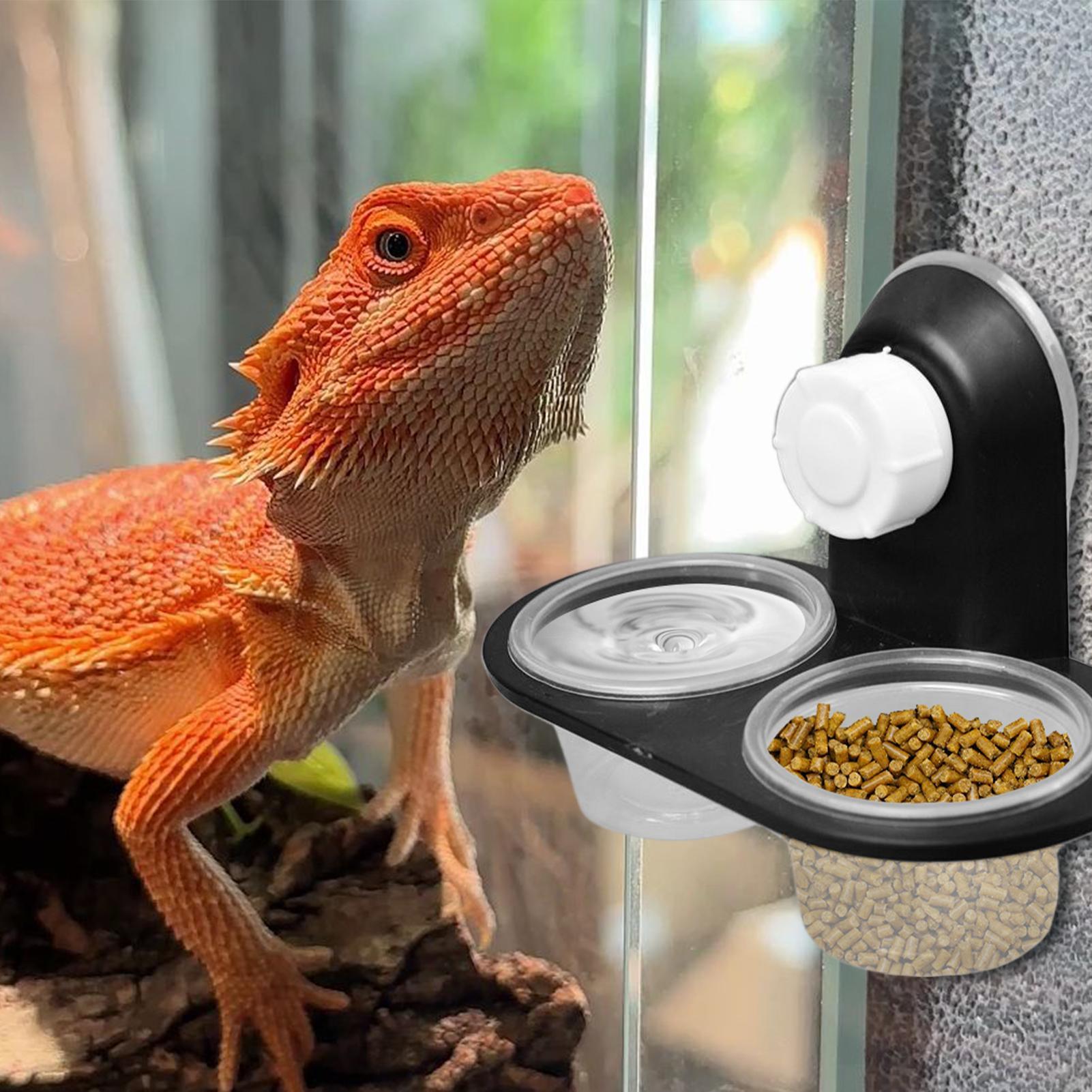 Gecko Food Dish Gecko Water Di - đánh giá và giá Water Dish Reptile