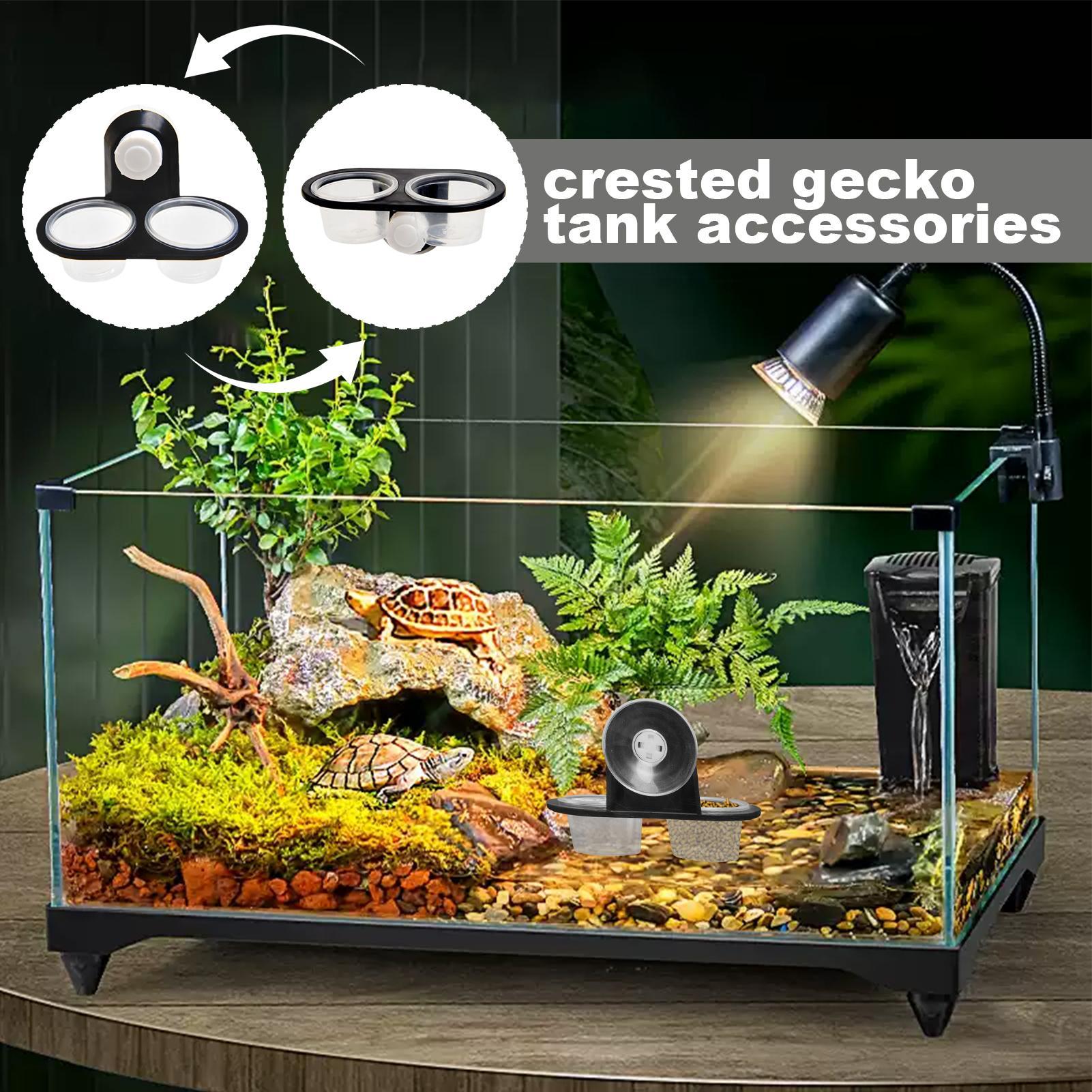 Gecko Food Dish Gecko Water Di - đánh giá và giá Water Dish Reptile