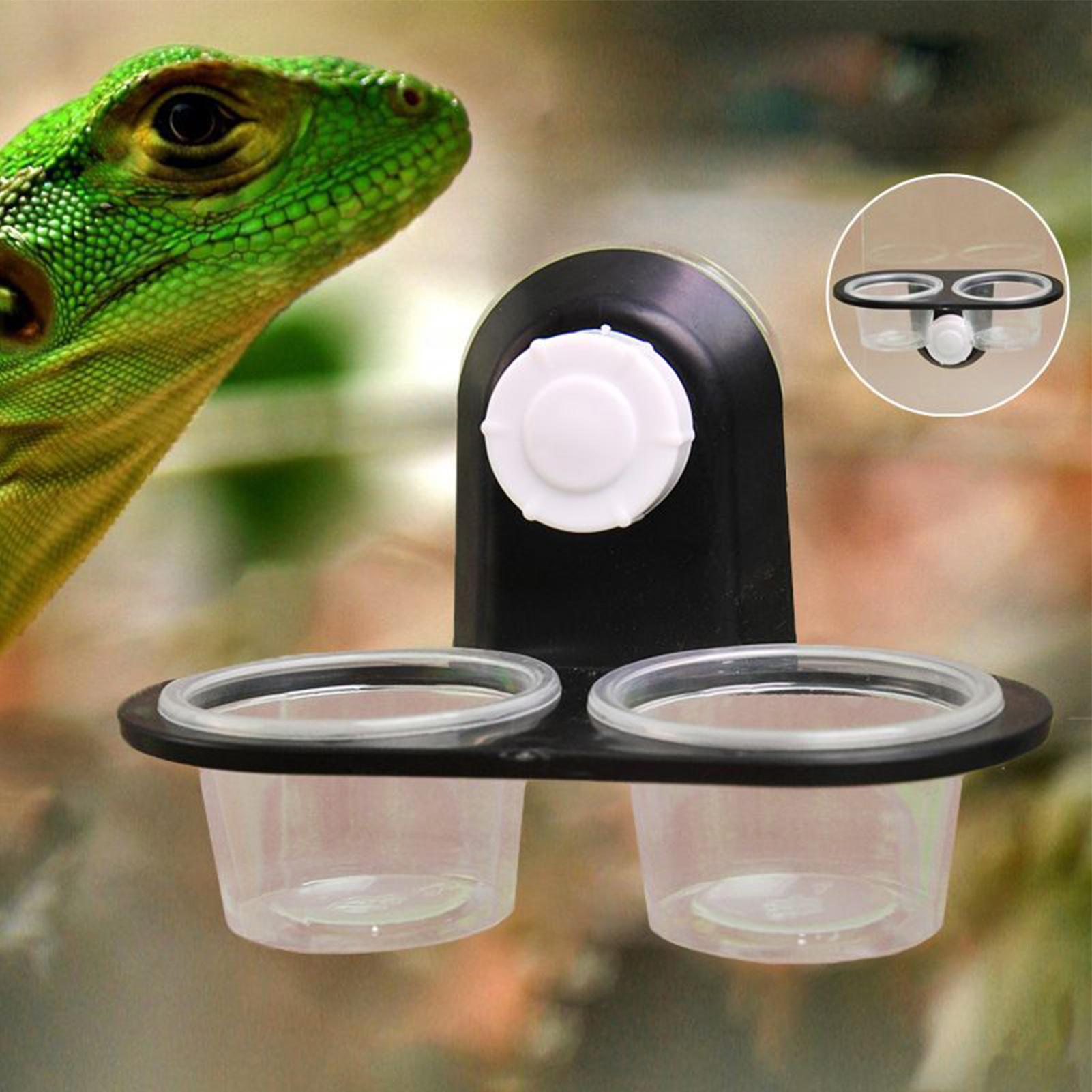 Gecko Food Dish Gecko Feeding  - đánh giá và giá Water Dish Reptile