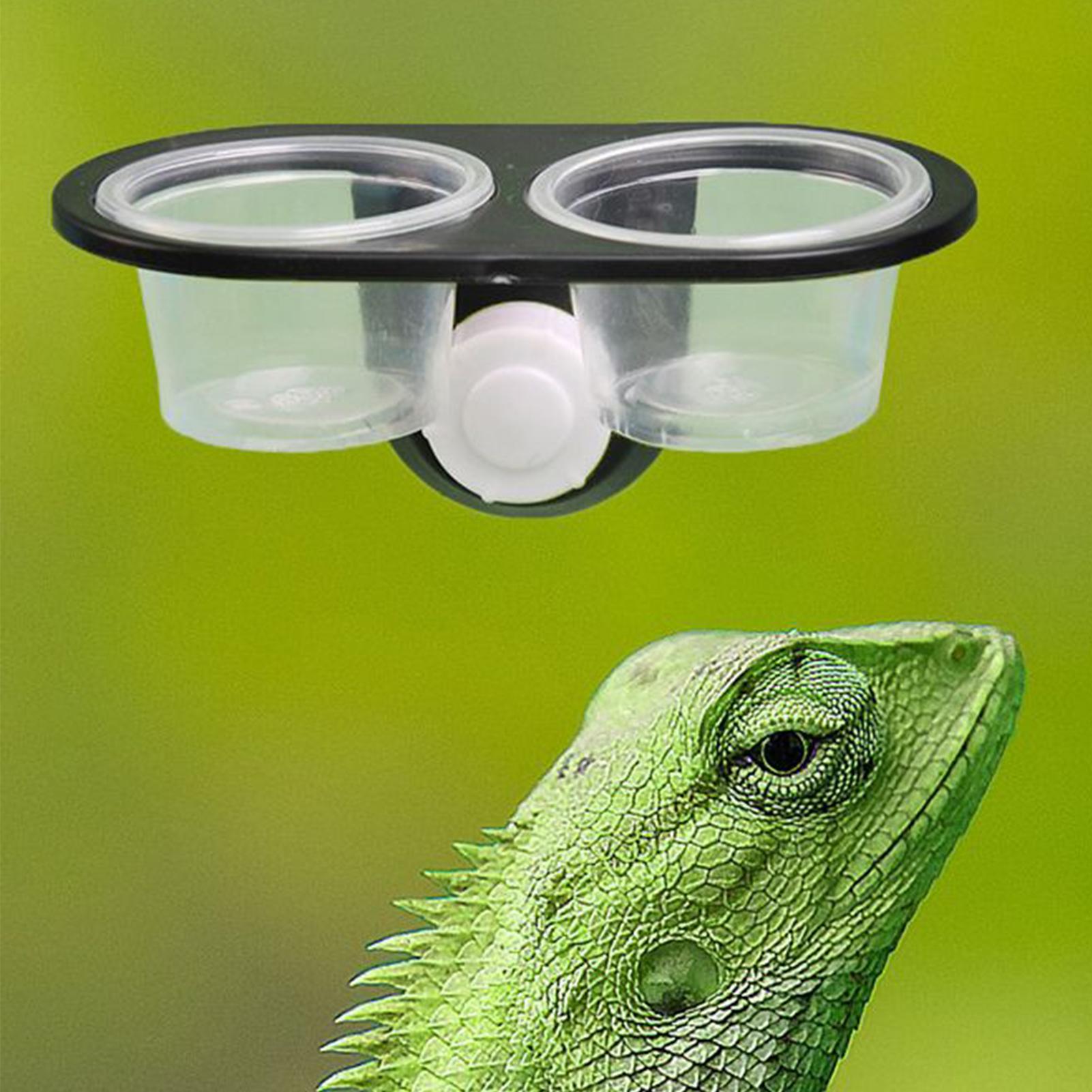 Gecko Food Dish Gecko Feeding  - đánh giá và giá Water Dish Reptile