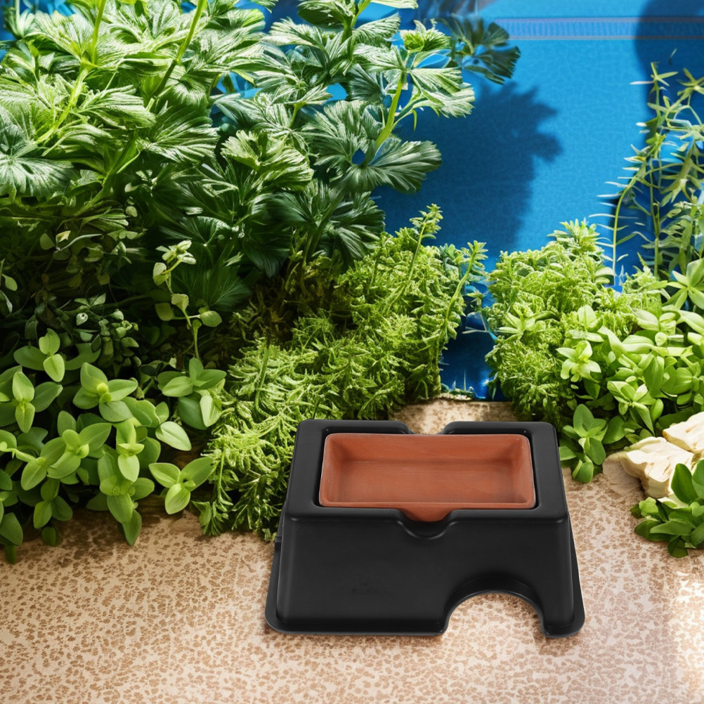 2Pcs Humid Leopard Gecko Shelt - đánh giá và giá Hide Cave Ceramic