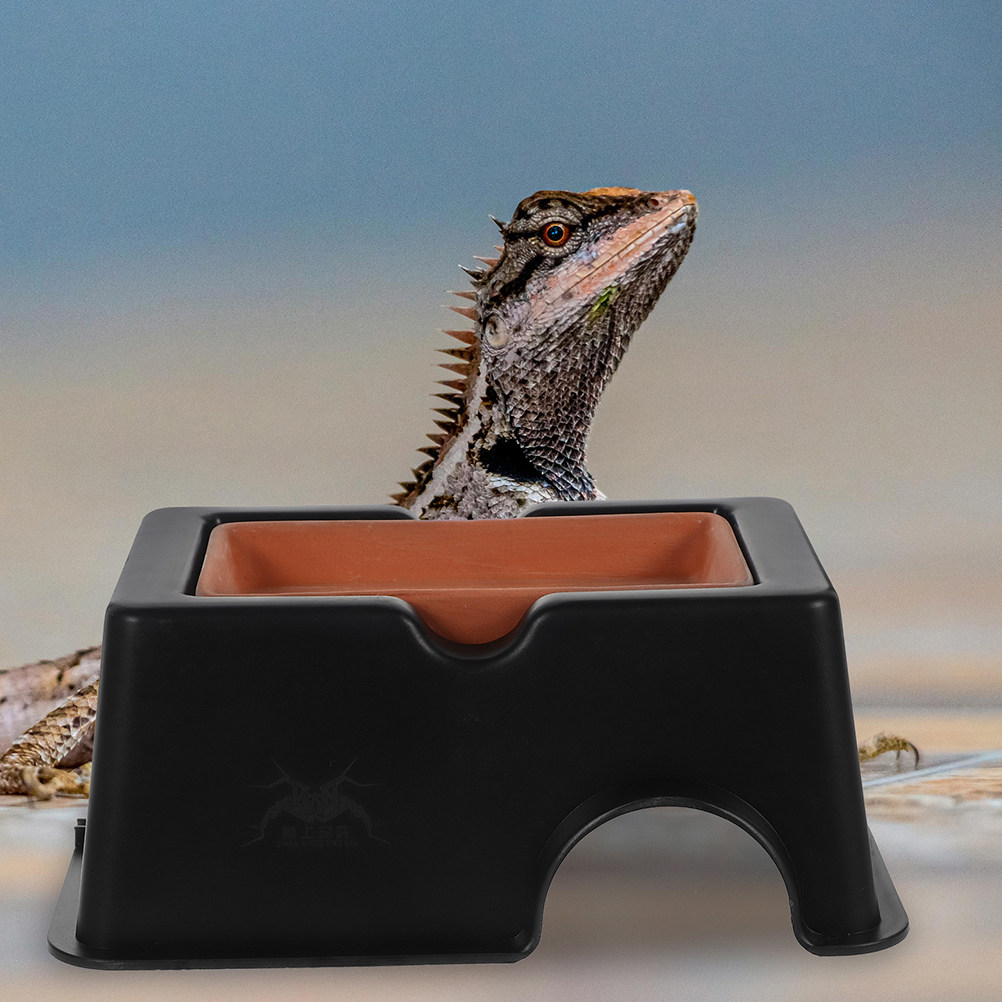 2Pcs Humid Leopard Gecko Shelt - đánh giá và giá Hide Cave Ceramic