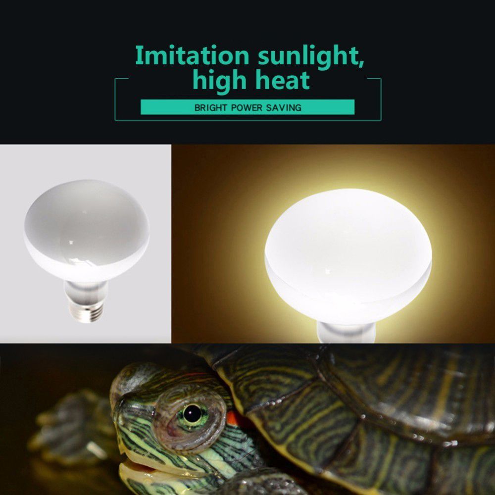 Turtle Heater Temperature Cont - đánh giá và giá Basking Bulb Halogen