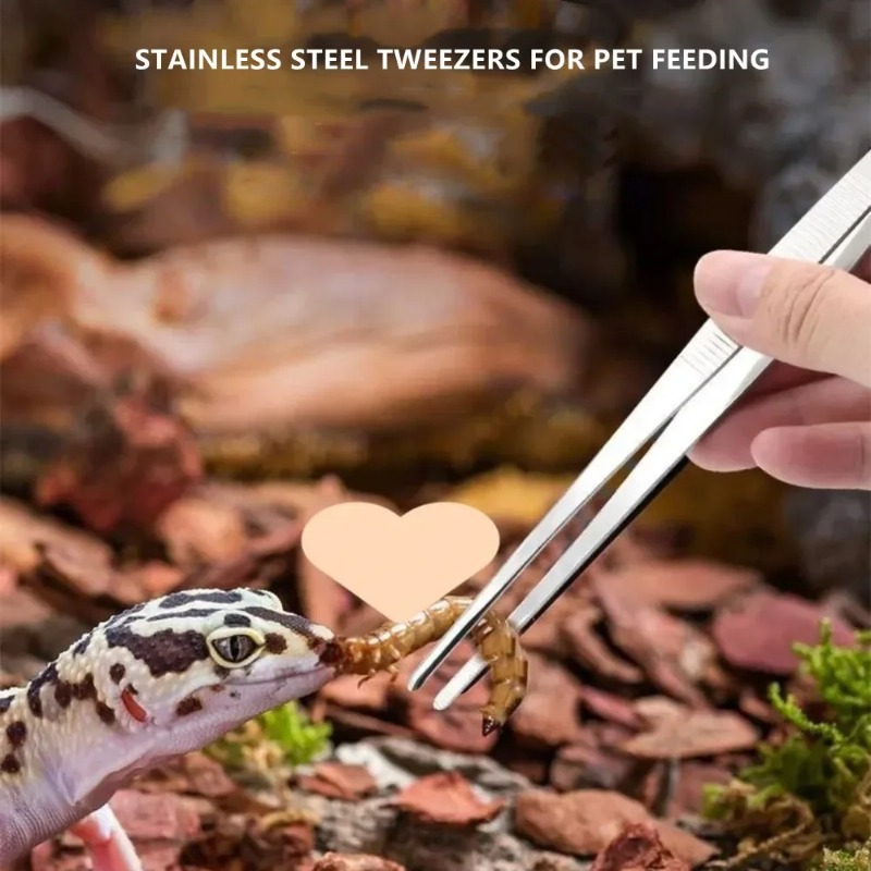 Stainless Multifuctional Steel - đánh giá và giá Feeding Tong Stainless