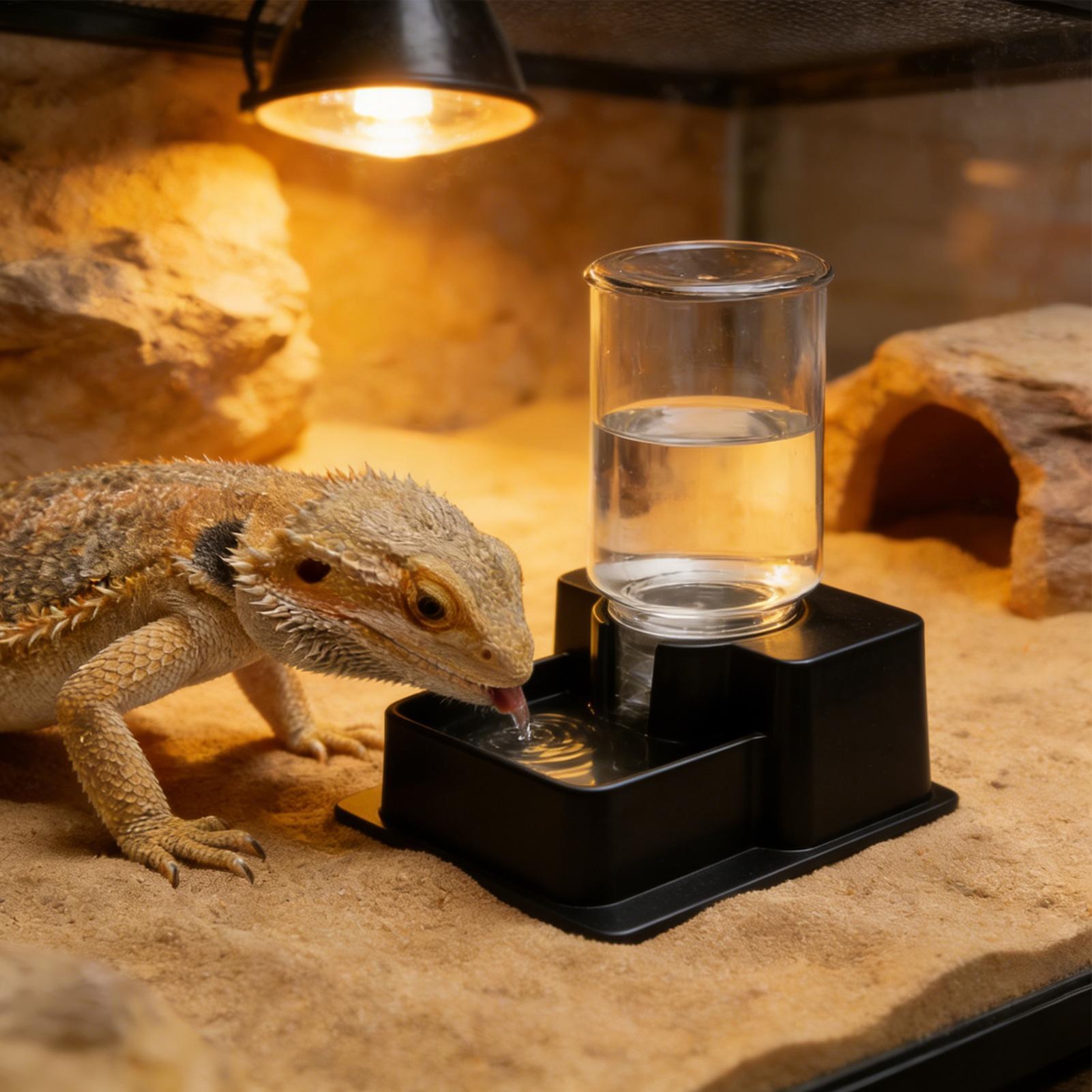 Bearded Dragon Water Fountain  - đánh giá và giá Water Dish Reptile