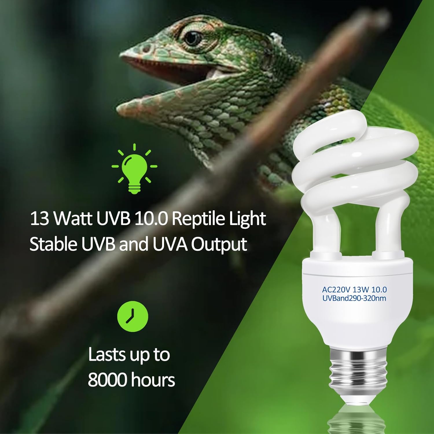 UVB 5.0 10.0 Reptile Heating L - đánh giá và giá Calcium Powder Reptile
