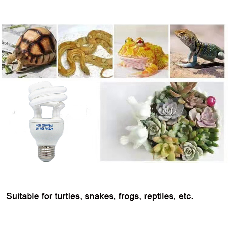 E27 13W/26W Bò Sát Uvb Đèn Bổ  - đánh giá và giá Calcium Powder Reptile