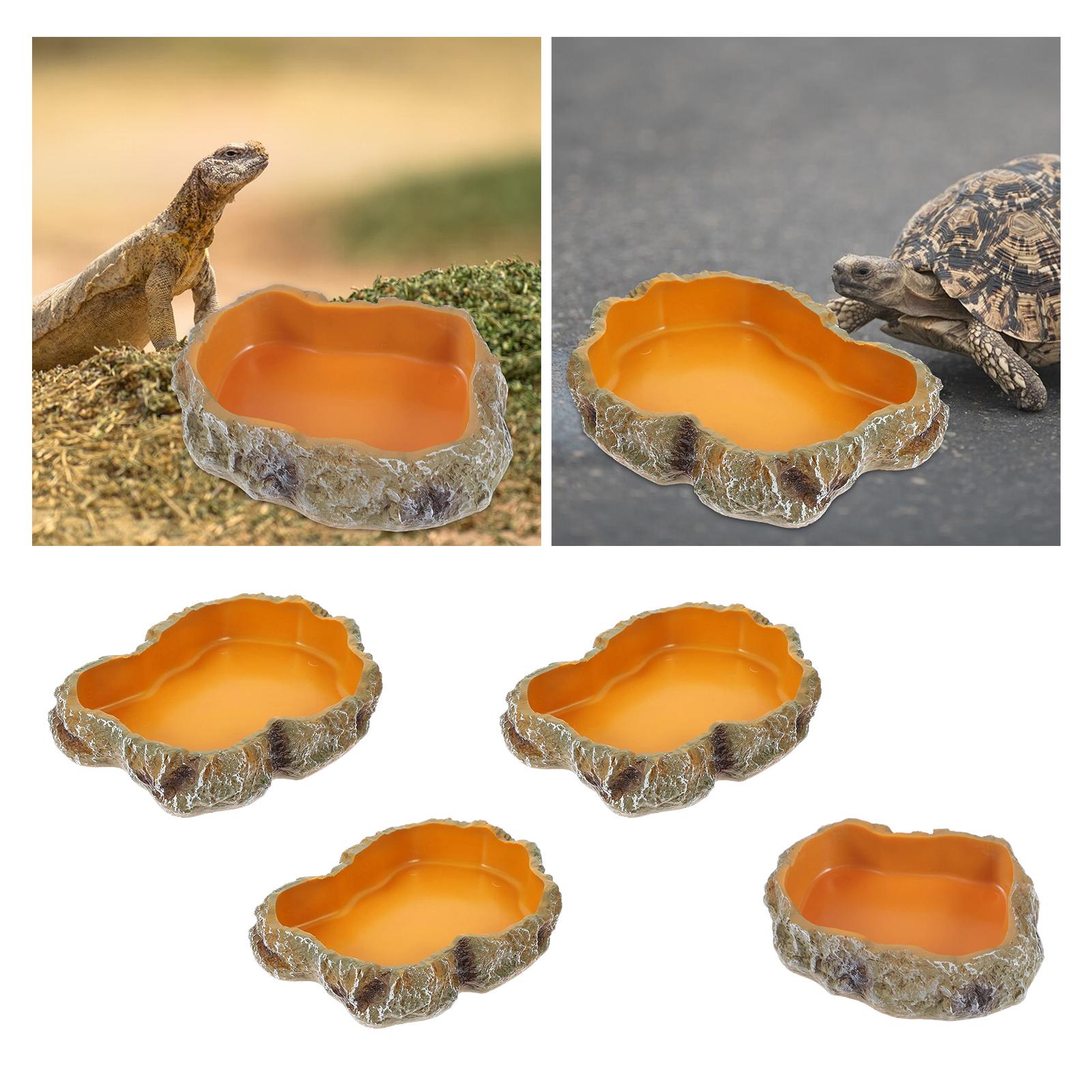 Reptile Water Bowls Decorative - đánh giá và giá Water Dish Reptile
