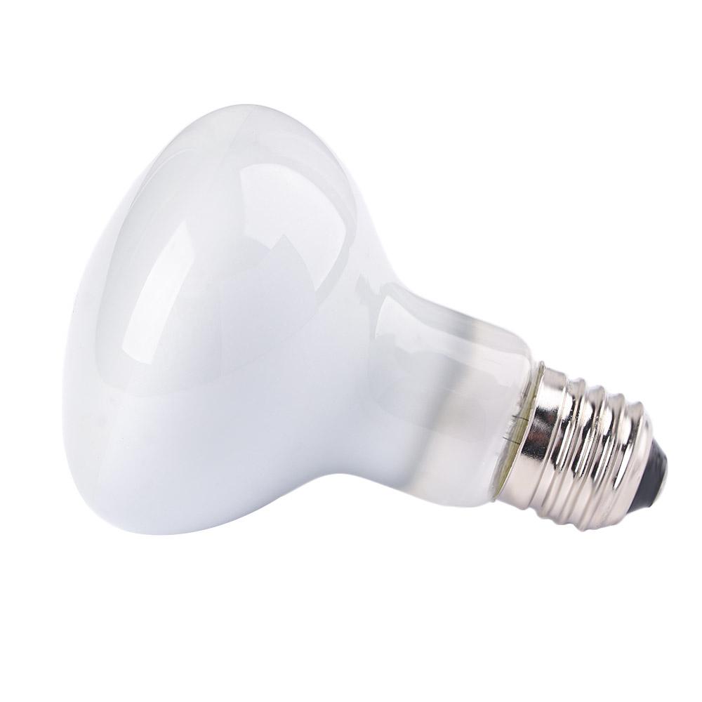 Turtle Temperature Controller  - đánh giá và giá Basking Bulb Halogen