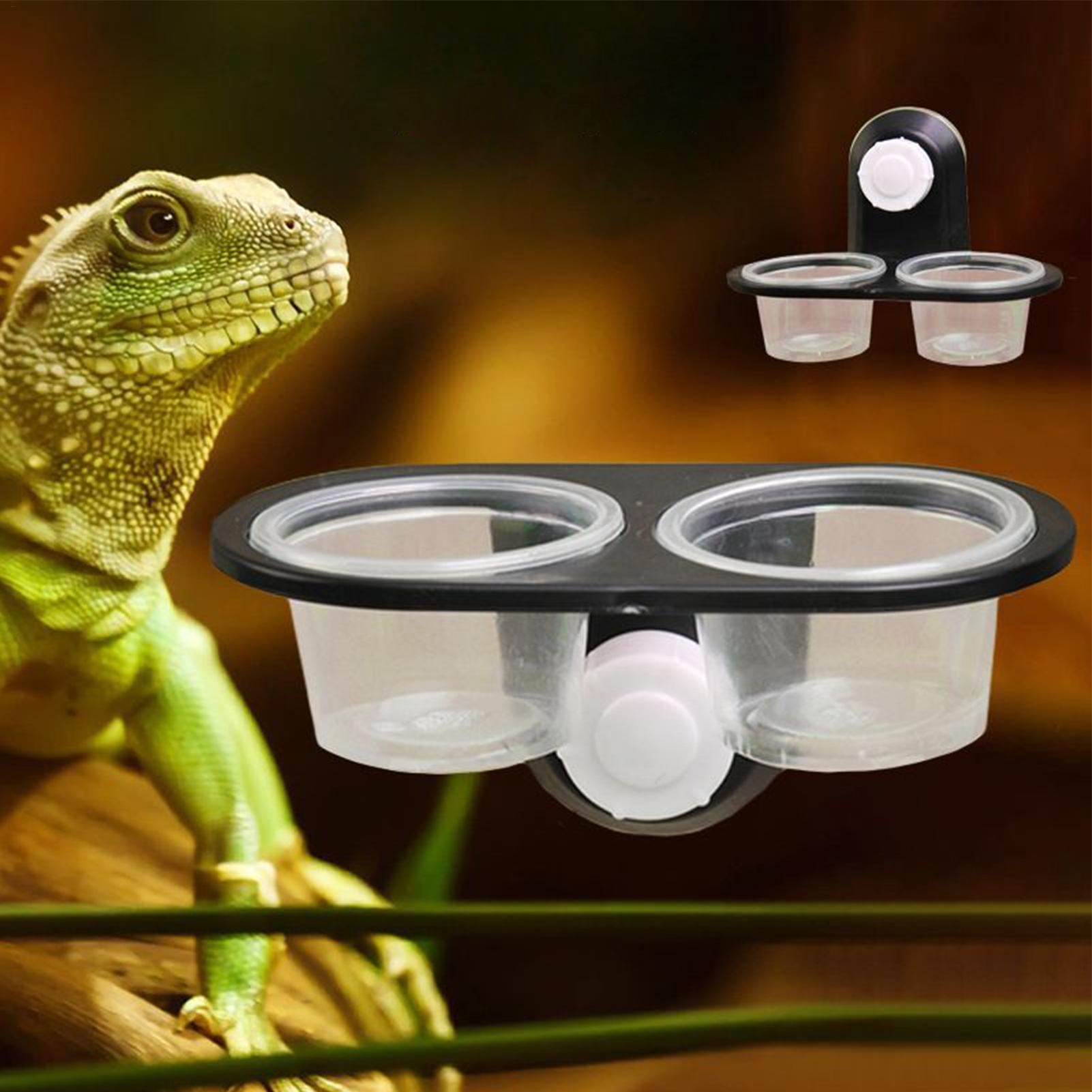 Gecko Food Dish Water Dish for - đánh giá và giá Water Dish Reptile