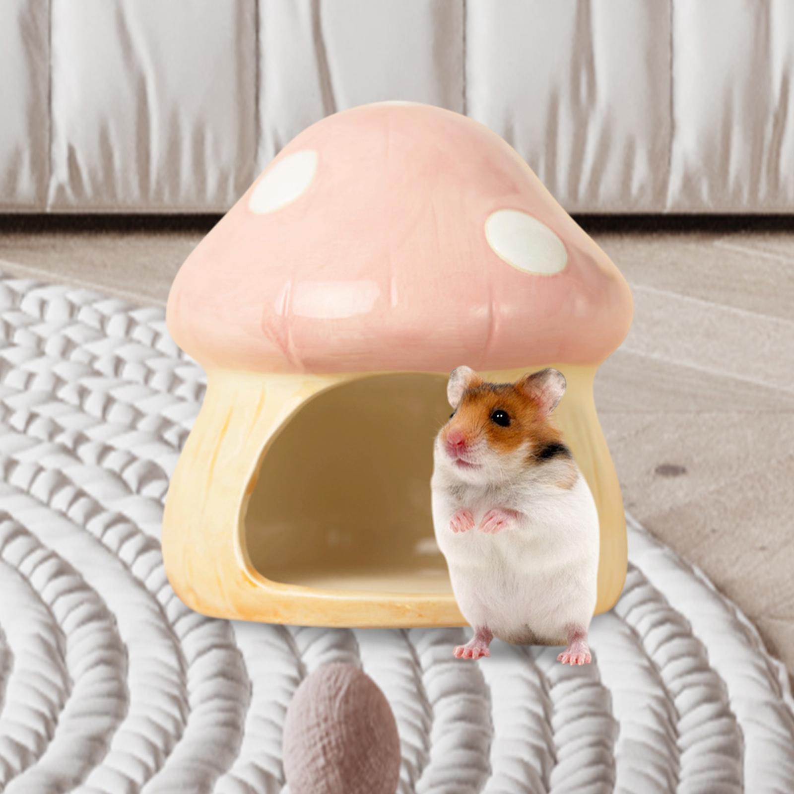 Ceramic Mushroom Hamster Hideo - đánh giá và giá Hide Cave Ceramic