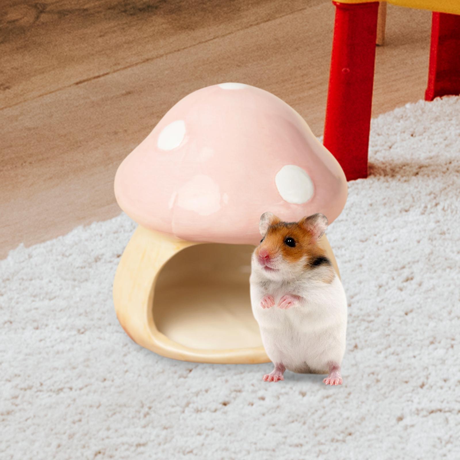Ceramic Mushroom Hamster Hideo - đánh giá và giá Hide Cave Ceramic