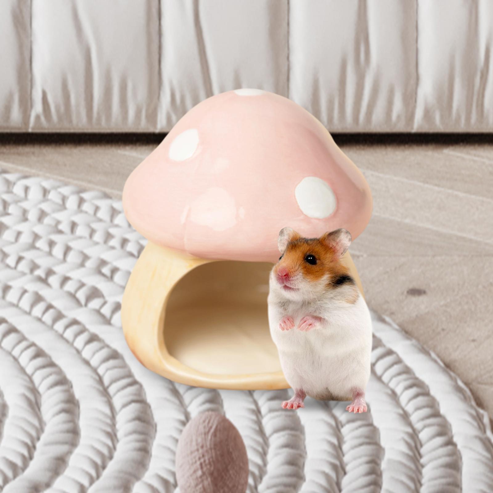 Ceramic Mushroom Hamster Hideo - đánh giá và giá Hide Cave Ceramic