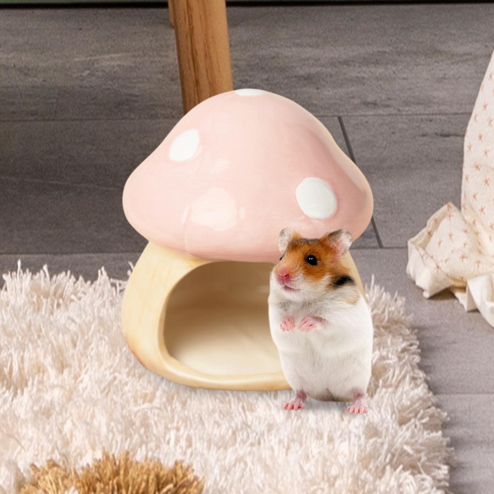 Ceramic Mushroom Hamster Hideo - đánh giá và giá Hide Cave Ceramic